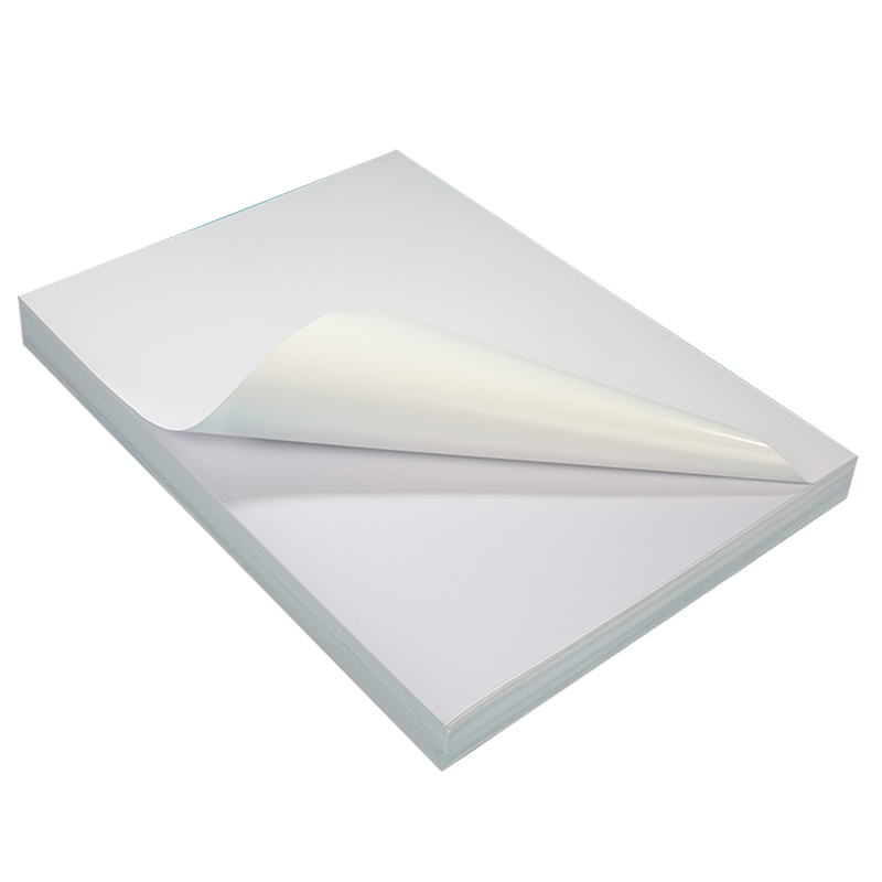 A4 PP Self-adhesive Synthetic  - đánh giá và giá Label Maker Machine