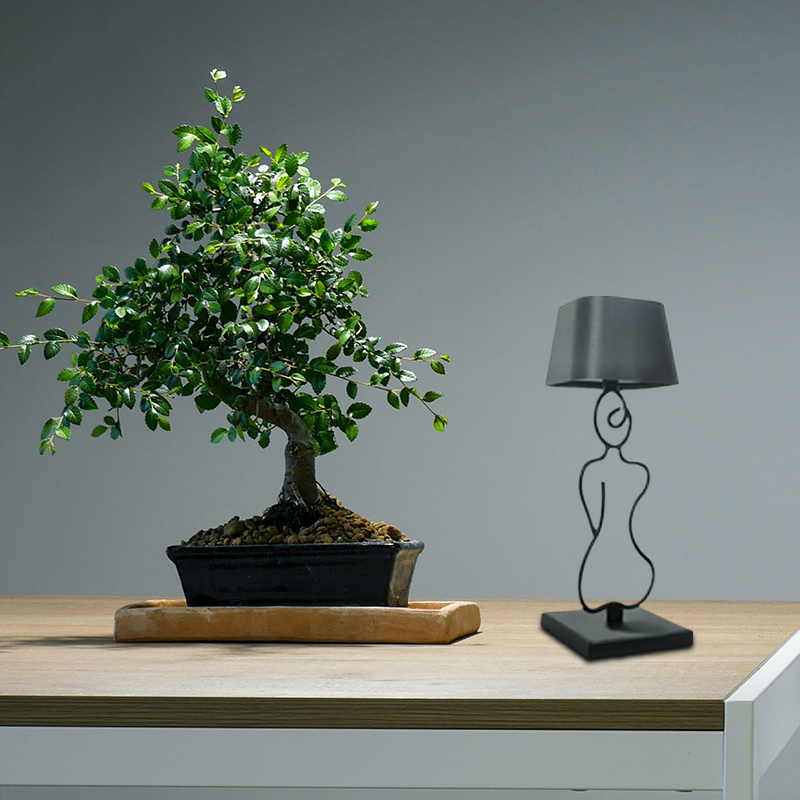 Dropshipping Modern Rechargeab - đánh giá và giá Desk Lamp Led